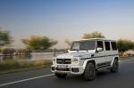 Mercedes-AMG G63 463 Edition 2015 года